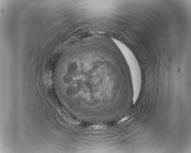 X0000053050323200507251430