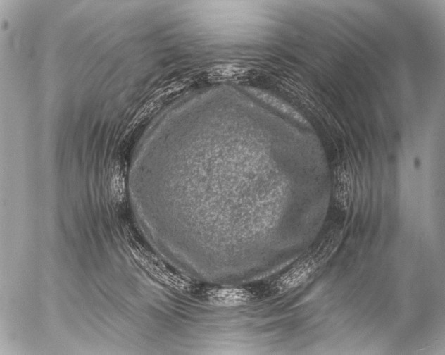 X0000053050324200507251430