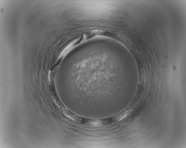 X0000053050325200507251430