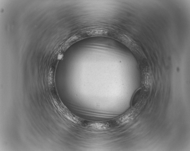 X0000053050326200507251430