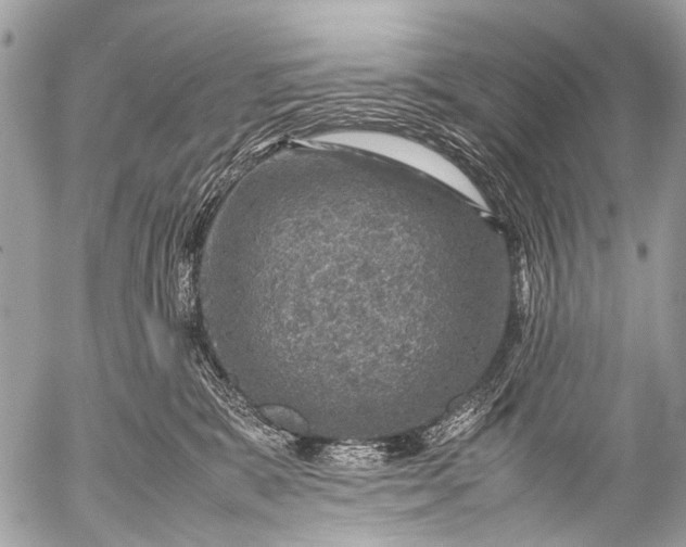 X0000053050327200507251430