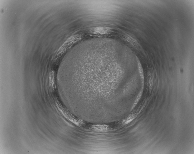 X0000053050328200507251430