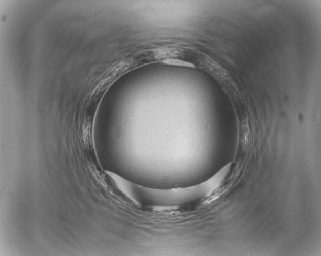 X0000053050329200507251430