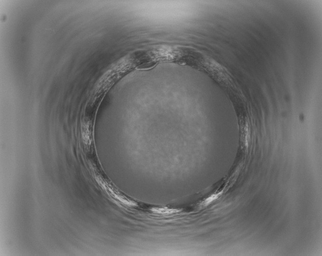 X0000053050331200507251430