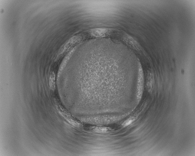 X0000053050332200507251430