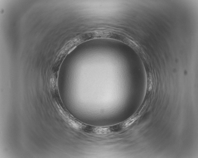 X0000053050333200507251430