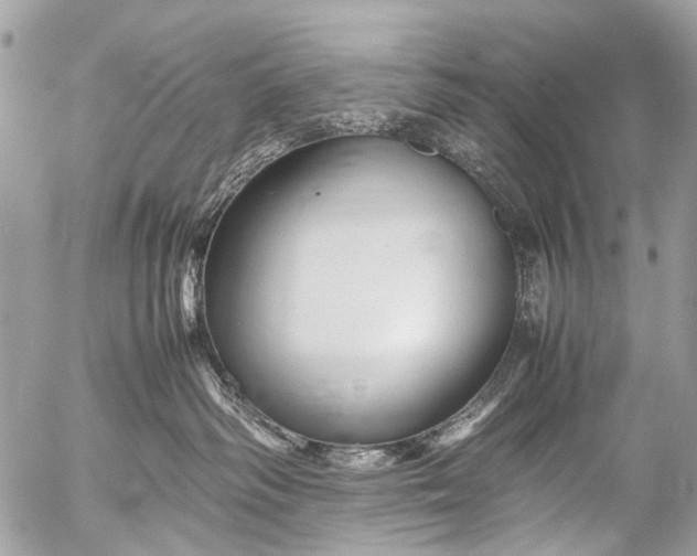 X0000053050334200507251430