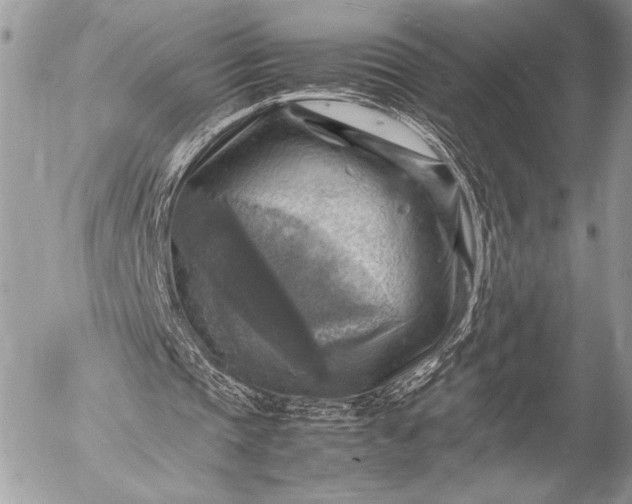 X0000053050337200507251429