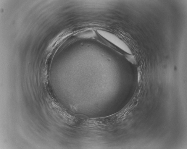 X0000053050339200507251429