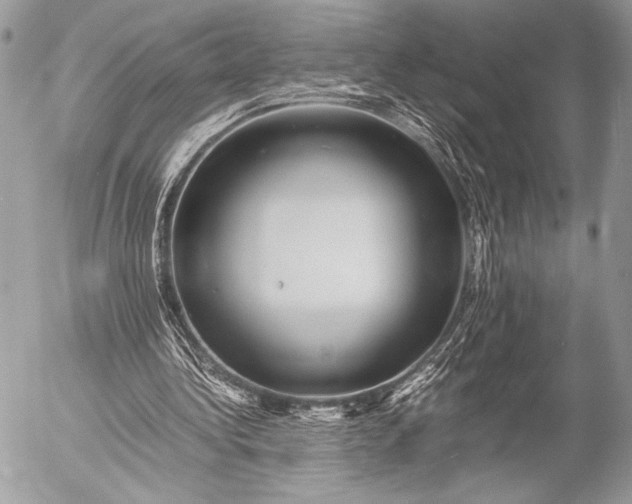 X0000053050340200507251429