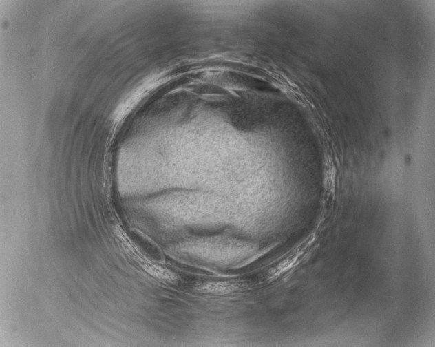 X0000053050341200507251429