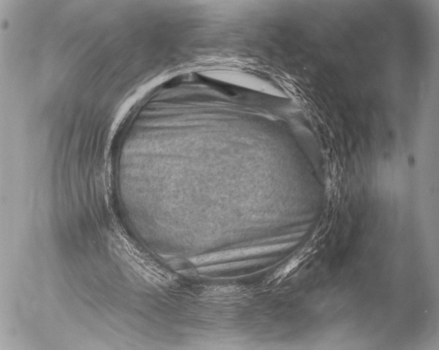 X0000053050342200507251429