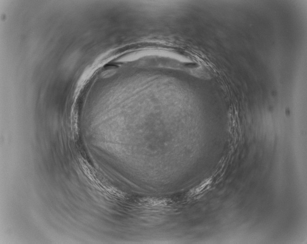 X0000053050343200507251429