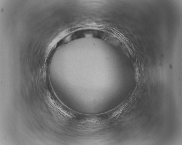 X0000053050344200507251429