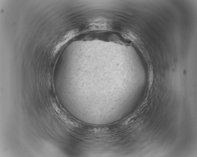 X0000053050345200507251429