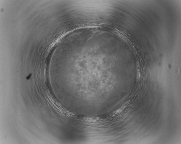 X0000053050346200507251429