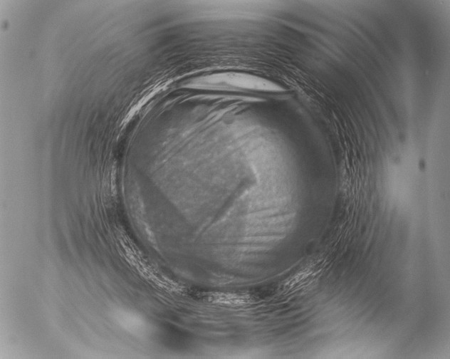 X0000053050347200507251429