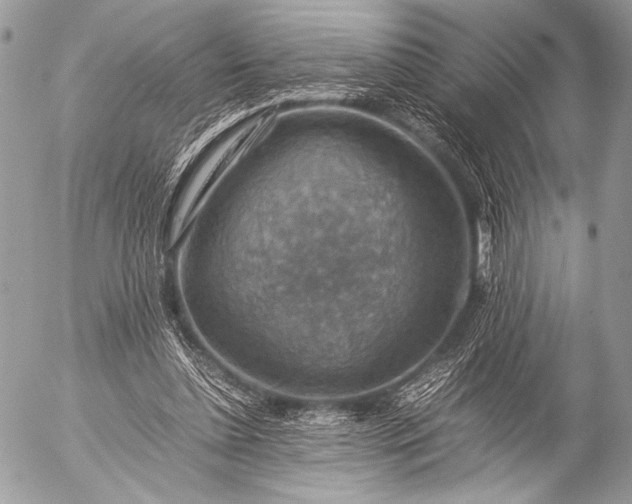 X0000053050348200507251429