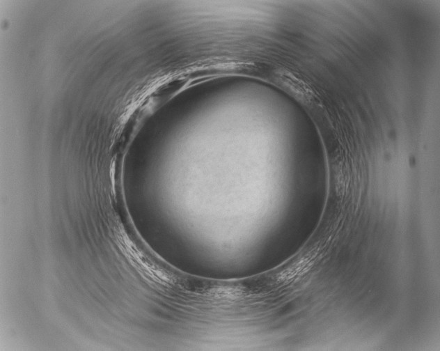 X0000053050350200507251429