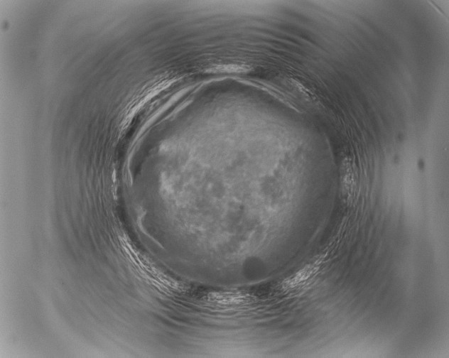 X0000053050351200507251429