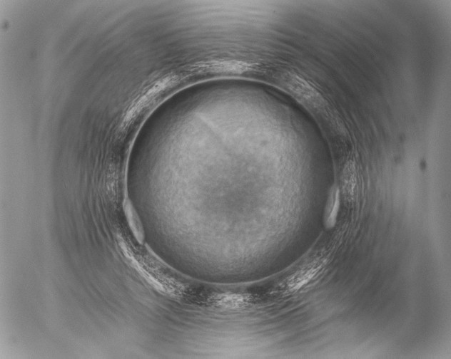 X0000053050352200507251429