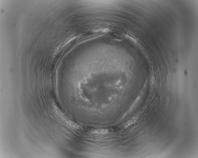 X0000053050353200507251429