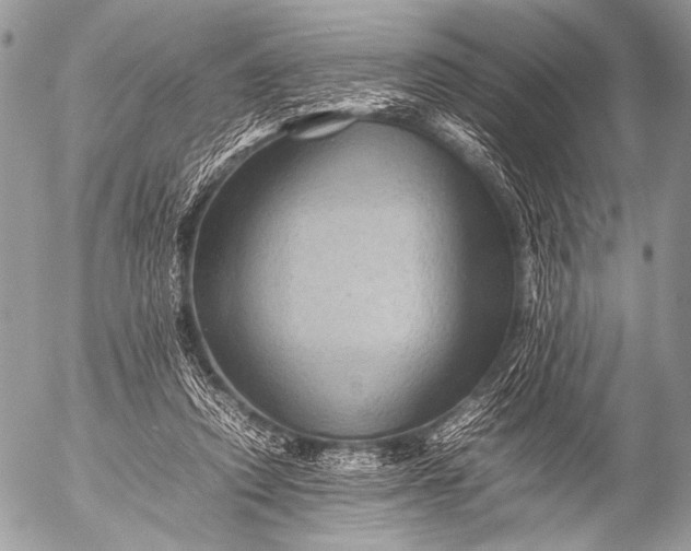 X0000053050354200507251429