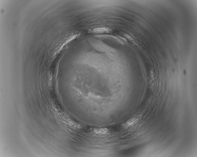 X0000053050355200507251429