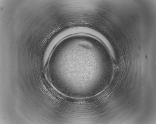 X0000053050356200507251429