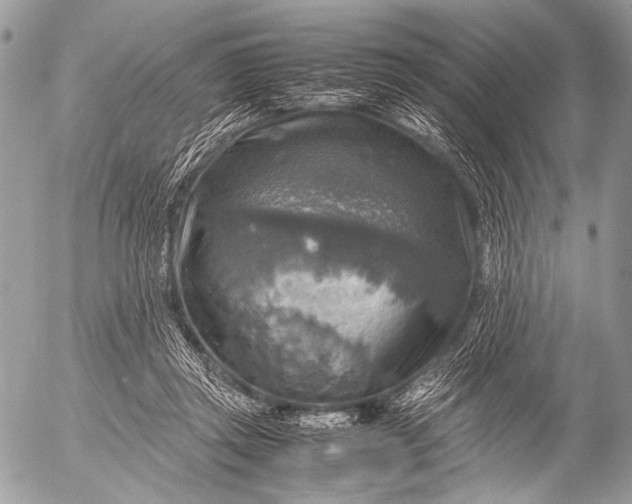 X0000053050357200507251429