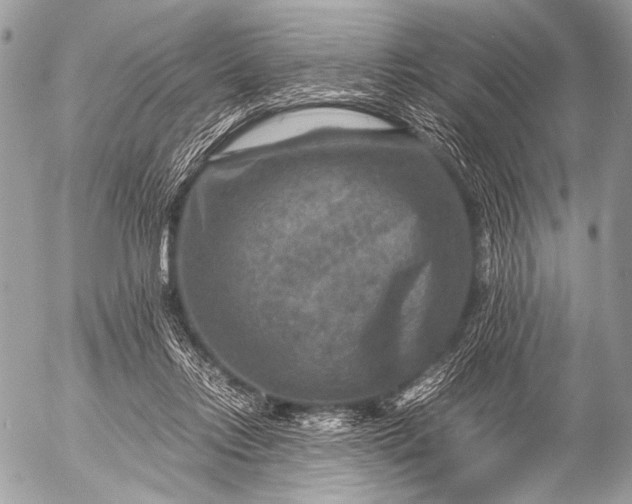 X0000053050358200507251429