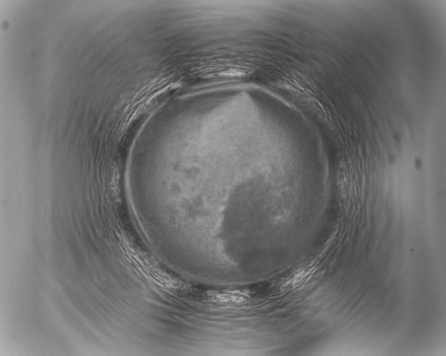 X0000053050359200507251429