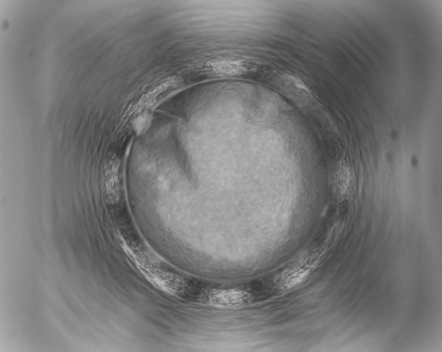 X0000053050360200507251429