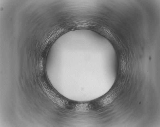 X0000053050362200507251429