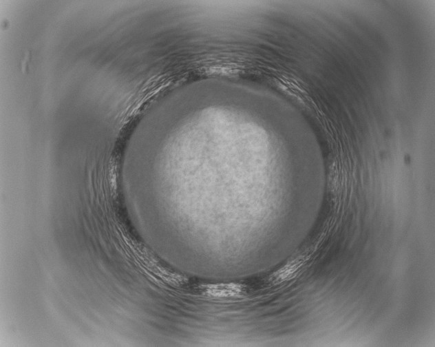 X0000053050363200507251429