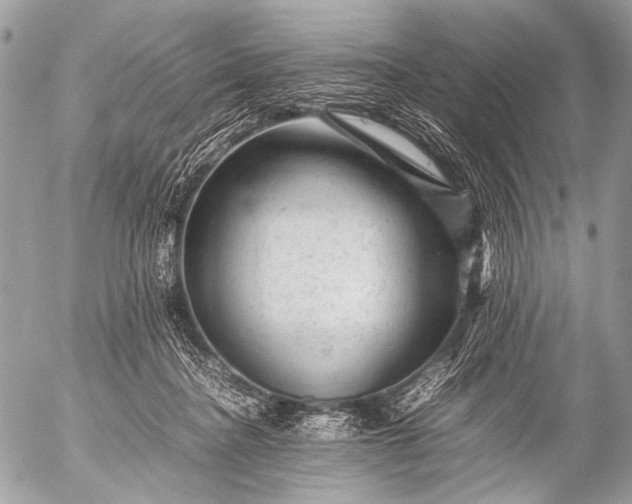 X0000053050364200507251429