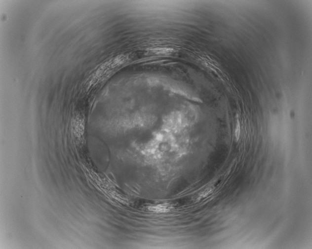 X0000053050365200507251429