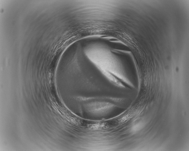 X0000053050366200507251429