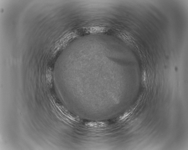 X0000053050367200507251429