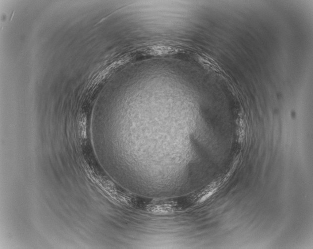 X0000053050368200507251429