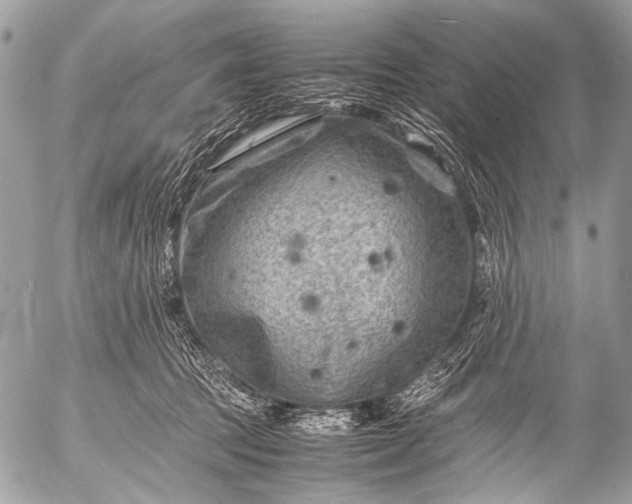 X0000053050369200507251429