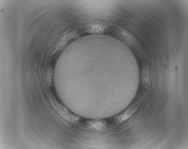 X0000053050370200507251429