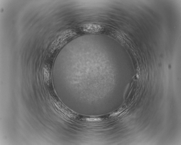 X0000053050371200507251429