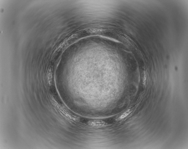 X0000053050372200507251429