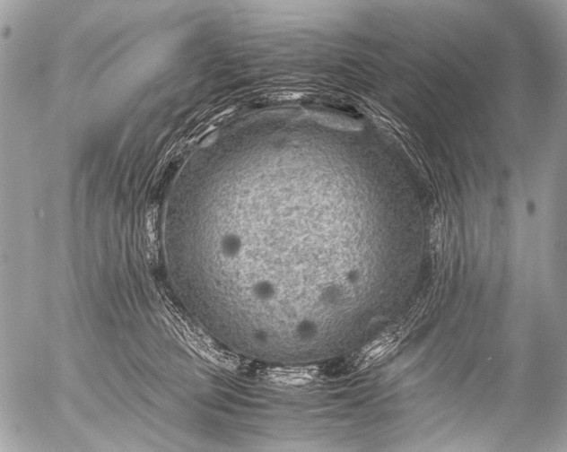 X0000053050373200507251429