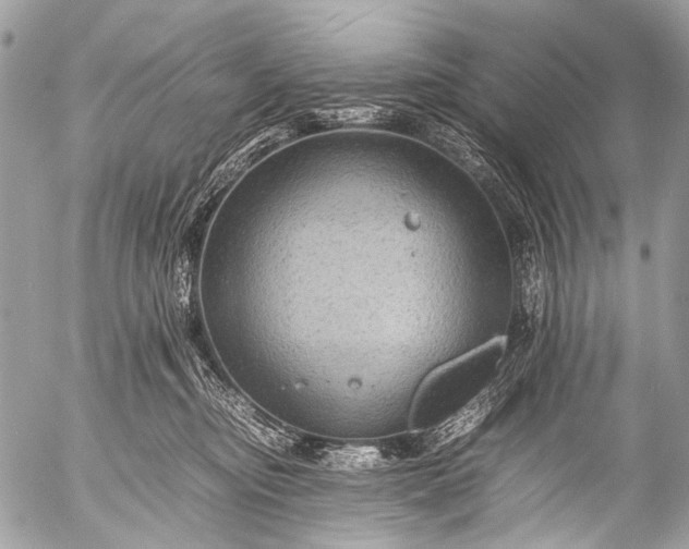 X0000053050374200507251429