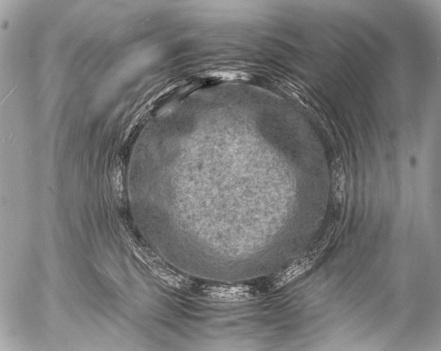 X0000053050375200507251429