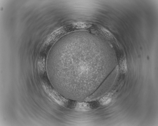 X0000053050376200507251429