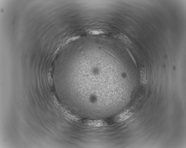 X0000053050377200507251429