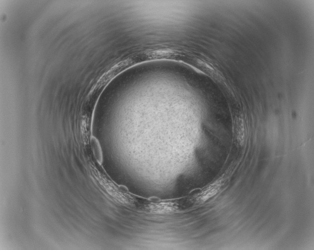 X0000053050378200507251429